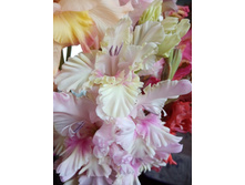 ��������� ������