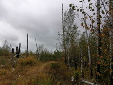 IMG 20200919 125638.jpg