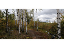 IMG 20200918 143944.jpg