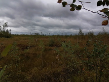 IMG 20200919 115526.jpg