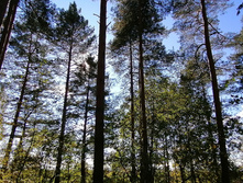 IMG 20200920 132235.jpg