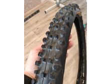 20200830 131908 HDR.jpg