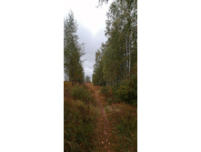 IMG 20200919 102450.jpg