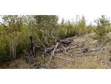 IMG 20200905 105412.jpg