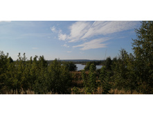 IMG 20200906 093925.jpg