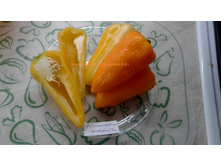 ����������� ��������� �� �������.jpg