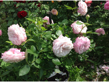 ���������������