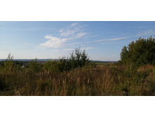 IMG 20200906 091644.jpg