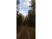 IMG 20200918 155545.jpg