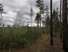 IMG 20200918 145047.jpg