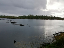 IMG 20200920 155526.jpg