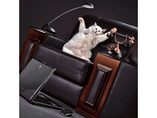 ���� ������, ������� ������!