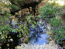 IMG 20200920 140331.jpg