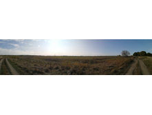 IMG 20200927 122409.jpg