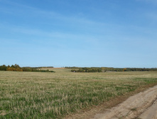 2020-09-26 12-19-17.jpg