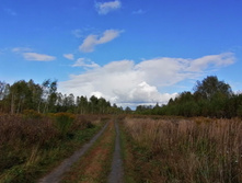 IMG 20200920 143300.jpg