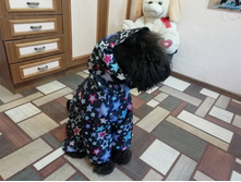 ����������� viber 2020-08-19 17-46-24.jpg