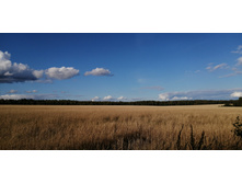 IMG 20200912 153937.jpg