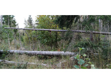 IMG 20200912 175921 1.jpg