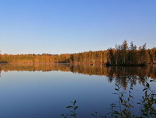 IMG 20200928 065229.jpg