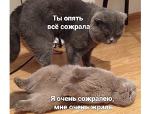 �� ����� �ӣ �������! � ����� ��������, ��� ����� ����� ...