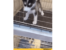 ����� ���������� ...