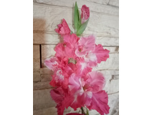 ����� ��������