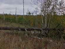 IMG 20200919 125910.jpg