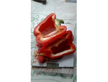 ������� �� ��������.jpg