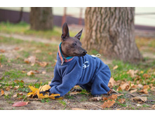 ����������� viber 2020-09-27 11-47-00.jpg