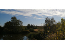 IMG 20200906 093038.jpg