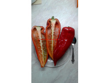 ����� ��������� (1).jpg