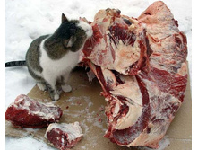 ��-�-�-�-�-�-�-��!