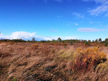 IMG 20200920 152548.jpg