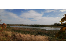 IMG 20200927 121225.jpg