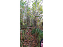 IMG 20200919 124044.jpg