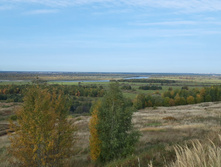 2020-09-26 13-37-06.jpg