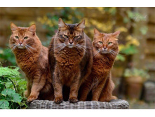 ��� �� ����� ��� ��������!