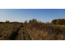 IMG 20200927 123740.jpg