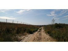 IMG 20200906 093323.jpg