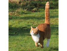 ... ���ң� ����!