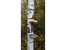 IMG 20200919 123904.jpg