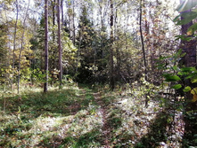 IMG 20200920 140816.jpg