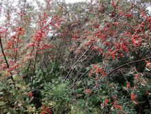 IMG 20200913 121632.jpg