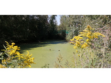 IMG 20200906 131802.jpg