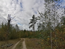 IMG 20200916 114045.jpg