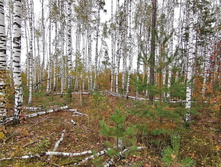 IMG 20200919 123000.jpg