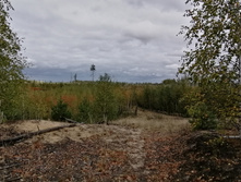 IMG 20200918 134128.jpg