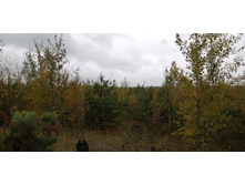 IMG 20200919 130230.jpg