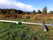 IMG 20200920 143847.jpg